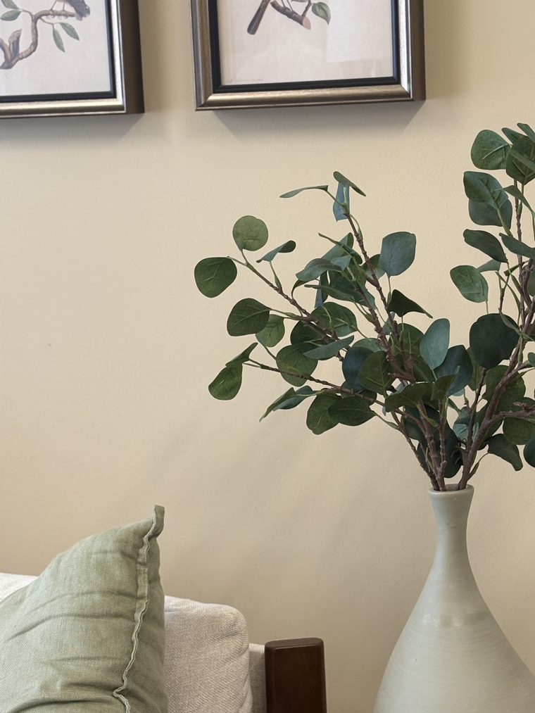 Eucalyptus in a white vase below framed botanical prints